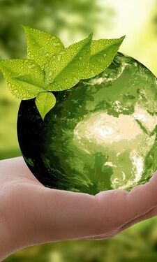 Hand hält grüne Sphäre die Nachhaltigkeit im Wellnesshotel Der Birkenhof in der Oberpfalz symbolisiert