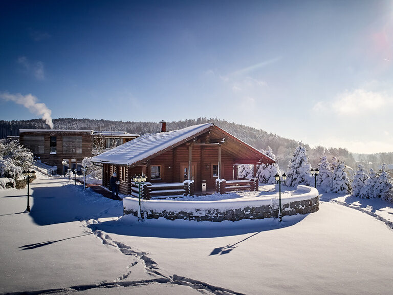 Winterbild Der Birkenhof